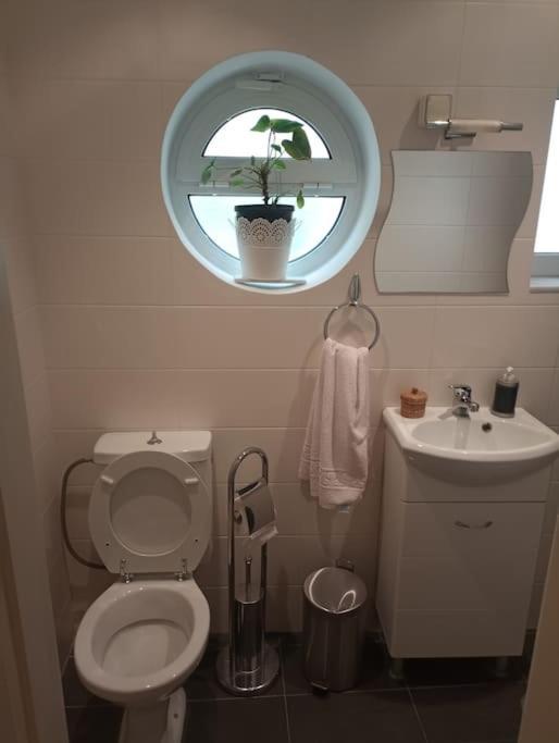Annitas Luxury Oasis Appartment Athen Eksteriør billede