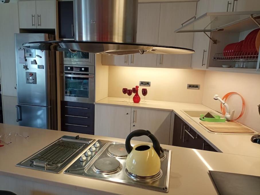 Annitas Luxury Oasis Appartment Athen Eksteriør billede