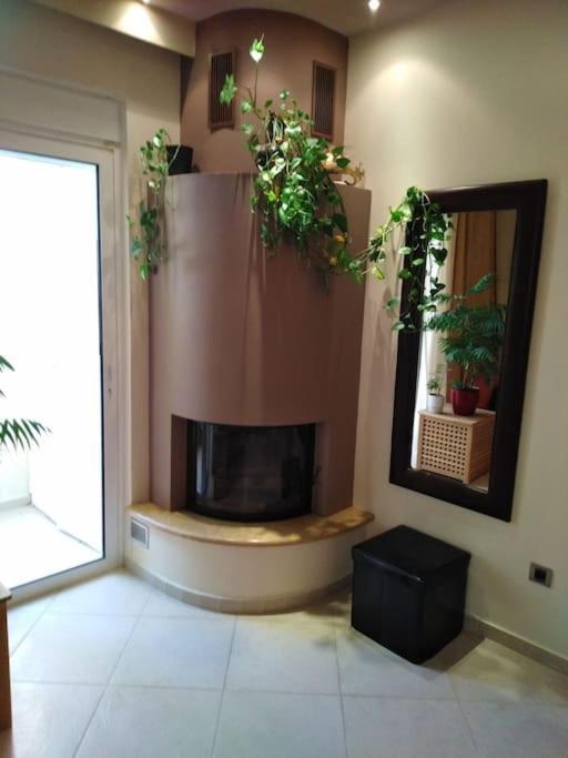 Annitas Luxury Oasis Appartment Athen Eksteriør billede