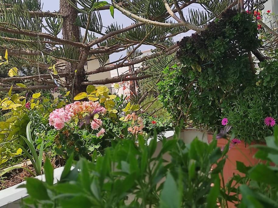 Annitas Luxury Oasis Appartment Athen Eksteriør billede