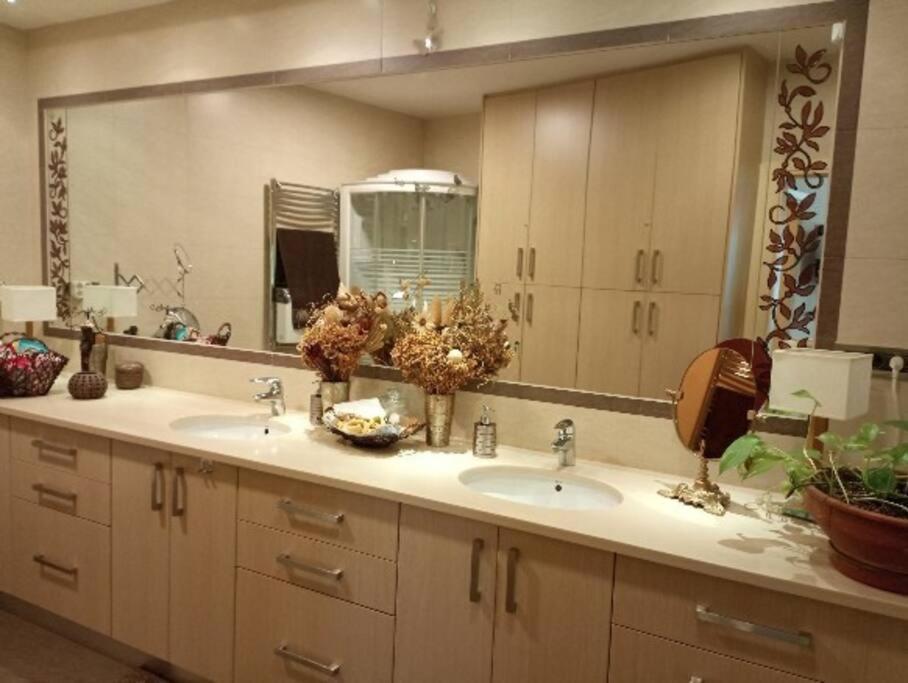 Annitas Luxury Oasis Appartment Athen Eksteriør billede